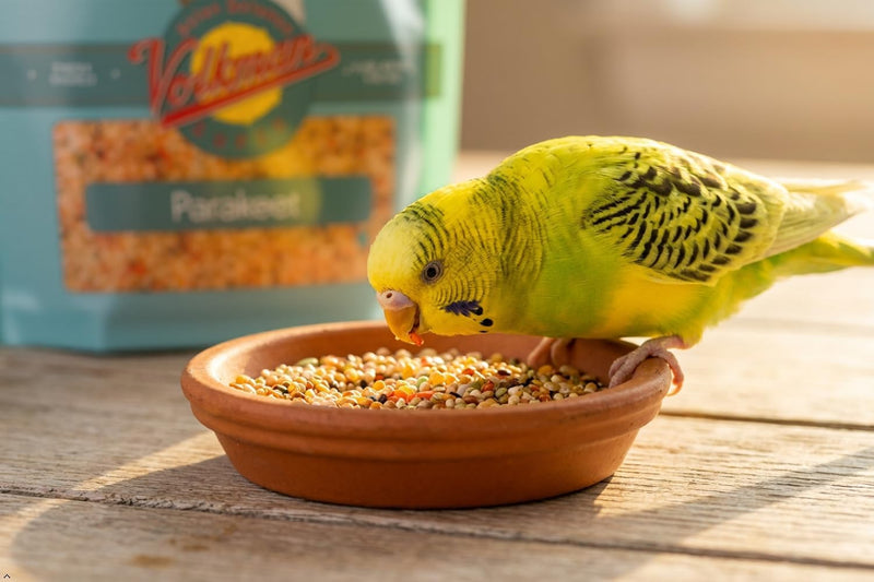 Volkman Avian Science Super Parakeet Bird Food 4lb