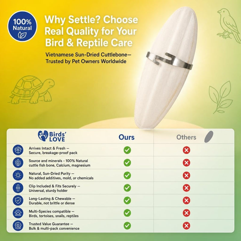 Birds LOVE Natural Cuttlebone - 2 Pack, 5.5-6"