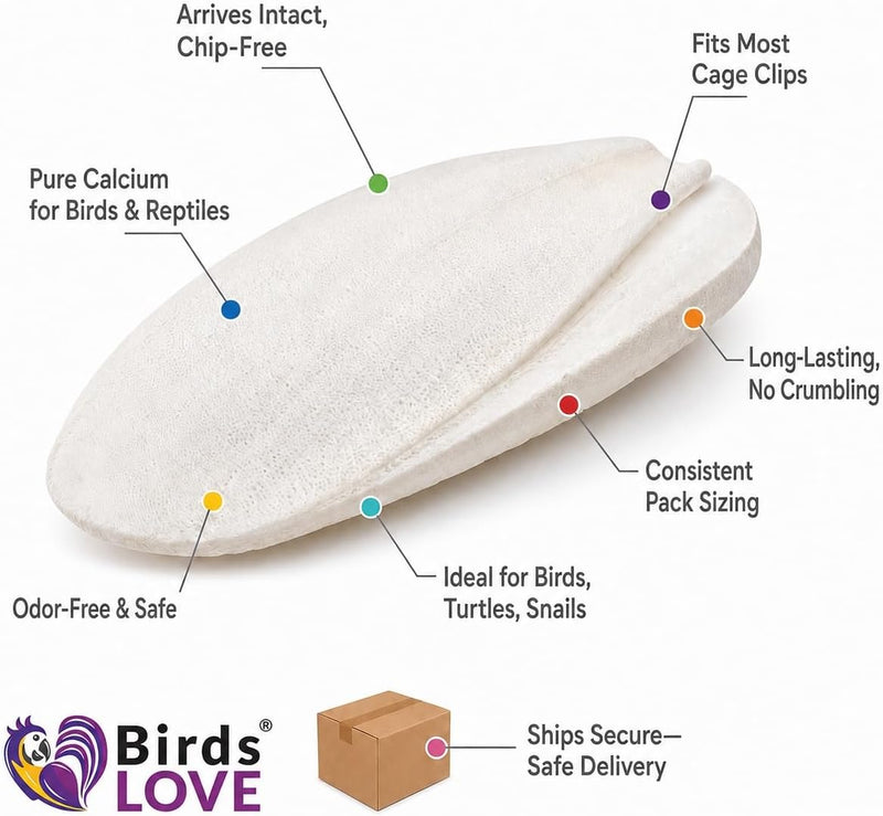 Birds LOVE Natural Cuttlebone - 4 lb bulk, 7.5-8"