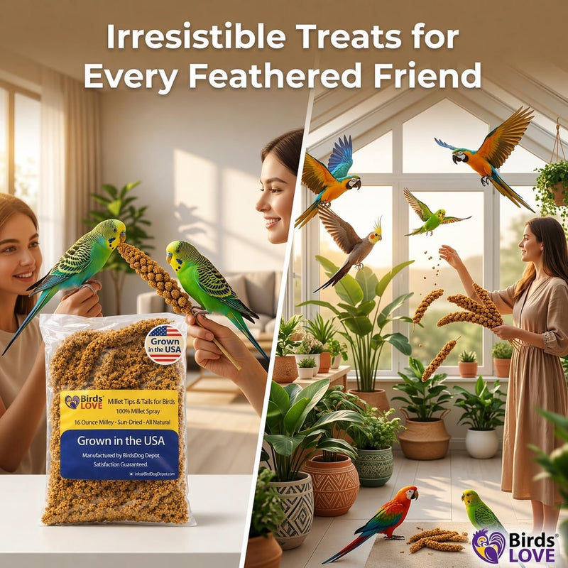 Birds LOVE Millet Tips & Tails for Birds - Spray Millet Treat, Non-GMO, USA Grown - Natural Bird Food for Parakeets, Cockatiels, Budgies, Lovebirds, Finches, Canaries & Parrots - 1 lb, 2 Pack