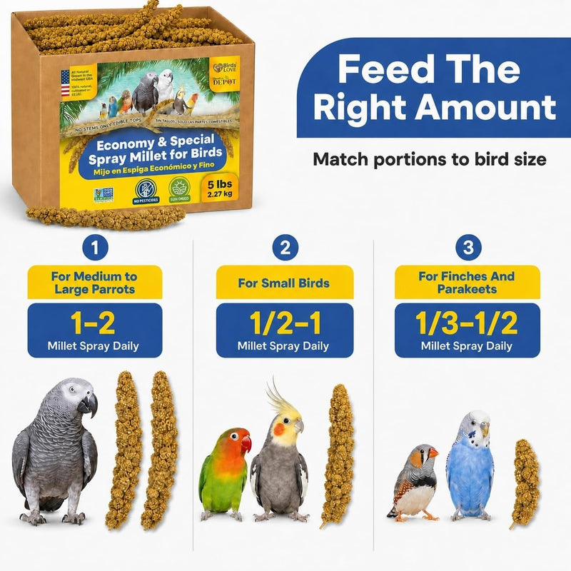 5lbs Economy & Special Spray Millet for Birds - GMO-Free, No Stems (Only Edible Tops) - 100% Natural Sun-Dried Foraging Treat for Cockatiels, Lovebirds, Parakeets, Finches & Canaries
