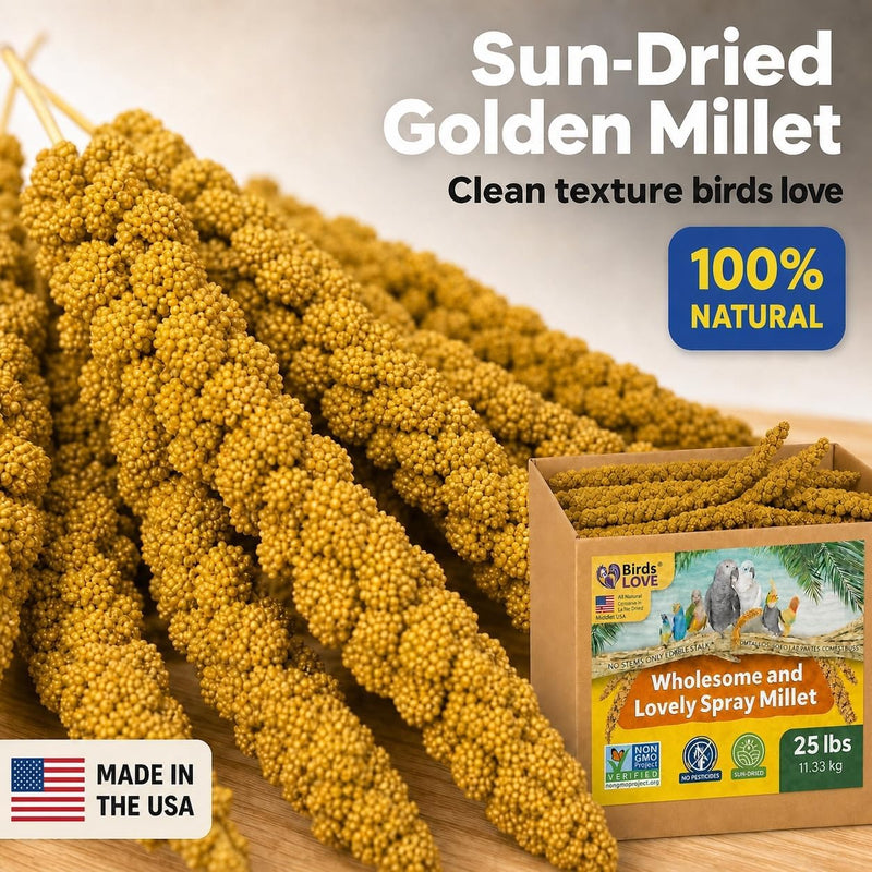 Birds LOVE 25 LB Wholesome Spray Millet for Birds - USA Grown, Non-GMO, Natural Sun-Dried Millet Sprays - Thick Seed-Rich Clusters for Parakeets, Budgies, Cockatiels, Conures, Finches & Parrots