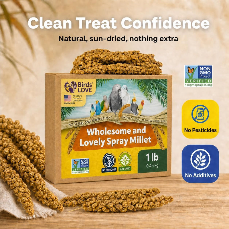 Birds LOVE 1 LB Wholesome Spray Millet for Birds - USA Grown, Non-GMO, Natural Sun-Dried Millet Sprays - Thick Seed-Rich Clusters for Parakeets, Budgies, Cockatiels, Conures, Finches & Parrots