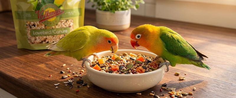 Volkman Avian Science Lovebird & Conure Bird Seed 4 Lb