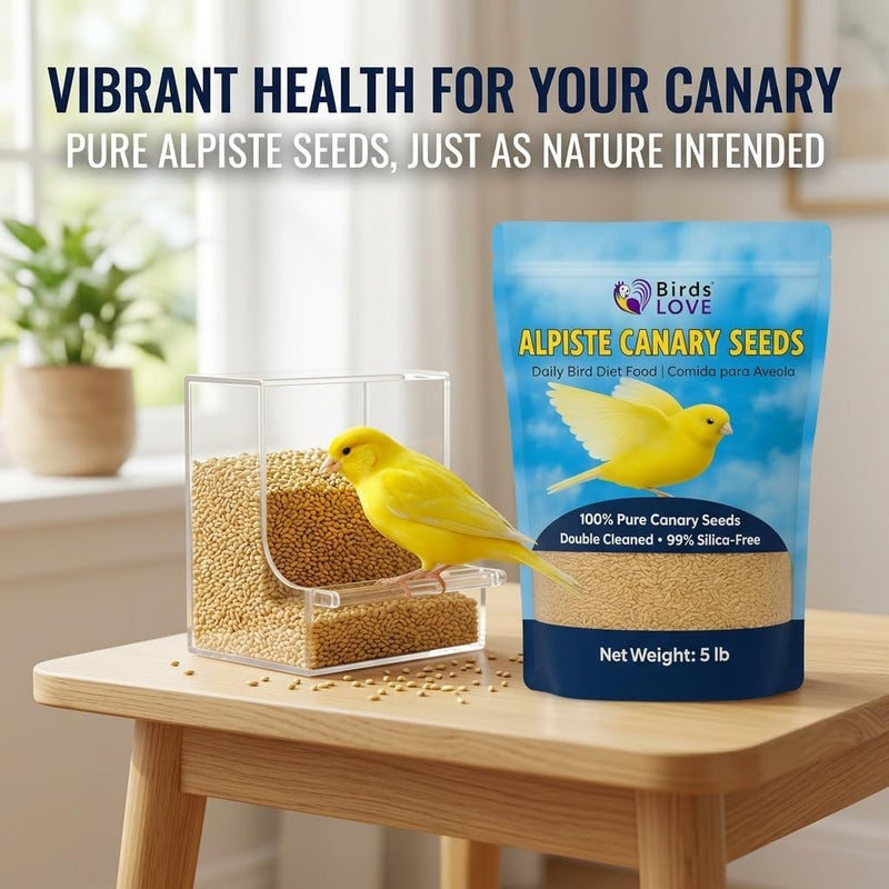 Birds LOVE Pure Alpiste Canary Seed Double Cleaned 5lb
