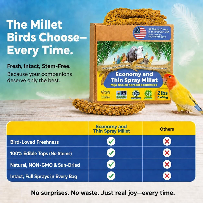 2lbs Economy & Special Spray Millet for Birds - GMO-Free, No Stems (Only Edible Tops) - 100% Natural Sun-Dried Foraging Treat for Cockatiels, Lovebirds, Parakeets, Finches & Canaries
