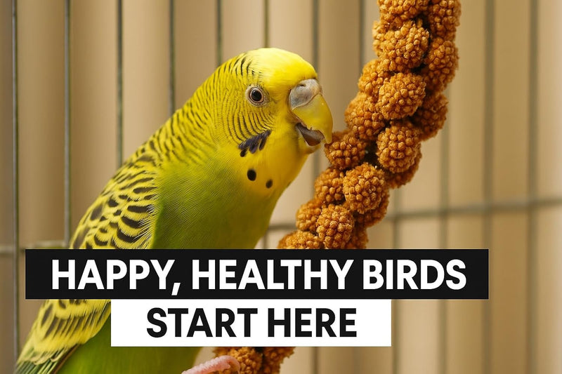 Birds LOVE 25lbs French Kissed Spray Millet for Birds - Non-GMO, Harvested & Packed in the USA - Natural Sun-Dried Millet with Stems for Parakeets, Cockatiels, Conures, Parrots & Budgies