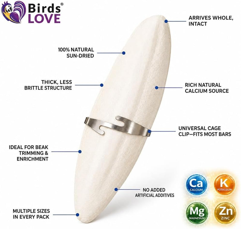Birds LOVE Natural Cuttlebone - 12 Pack, 7.5-8"