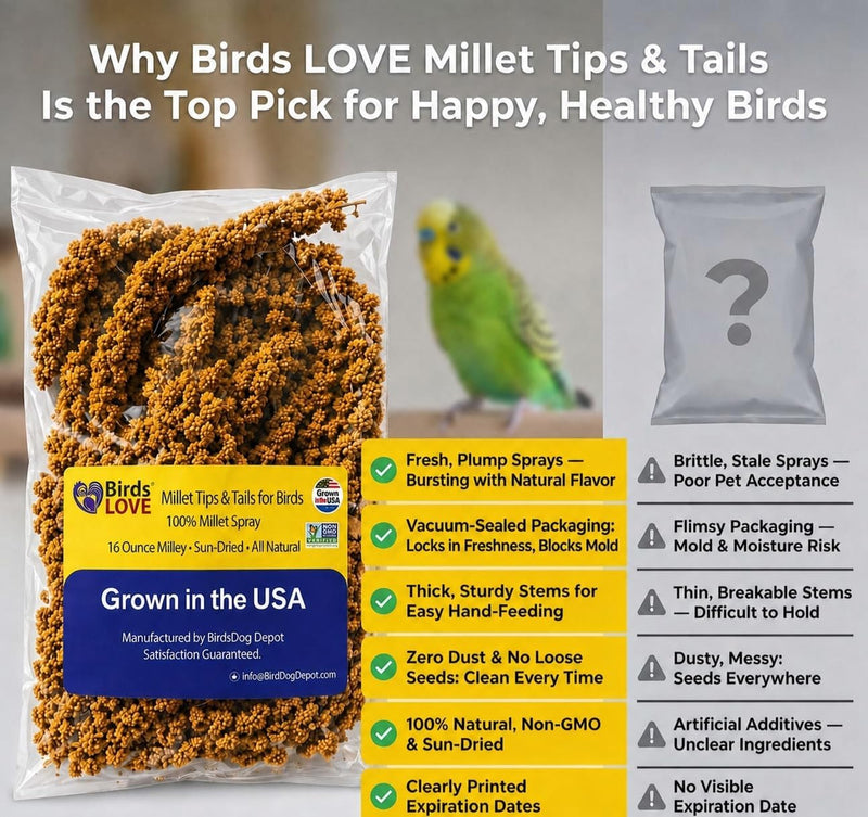 Birds LOVE Millet Tips & Tails for Birds - Premium Spray Millet Treat, Non-GMO, USA Grown - Natural Bird Food for Parakeets, Cockatiels, Budgies, Lovebirds, Finches, Canaries & Parrots - 1 lb