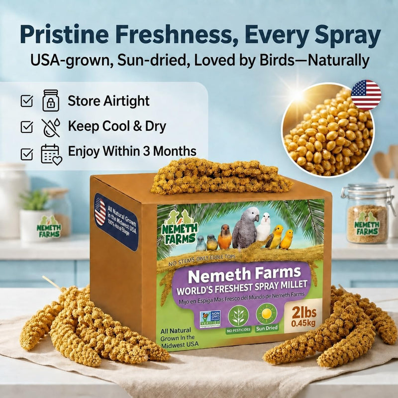 Nemeth Farms Spray Millet - Edible Tops Only, Non-GMO and Sun-Dried - 2 lbs for Cockatiels, Lovebirds and Budgies