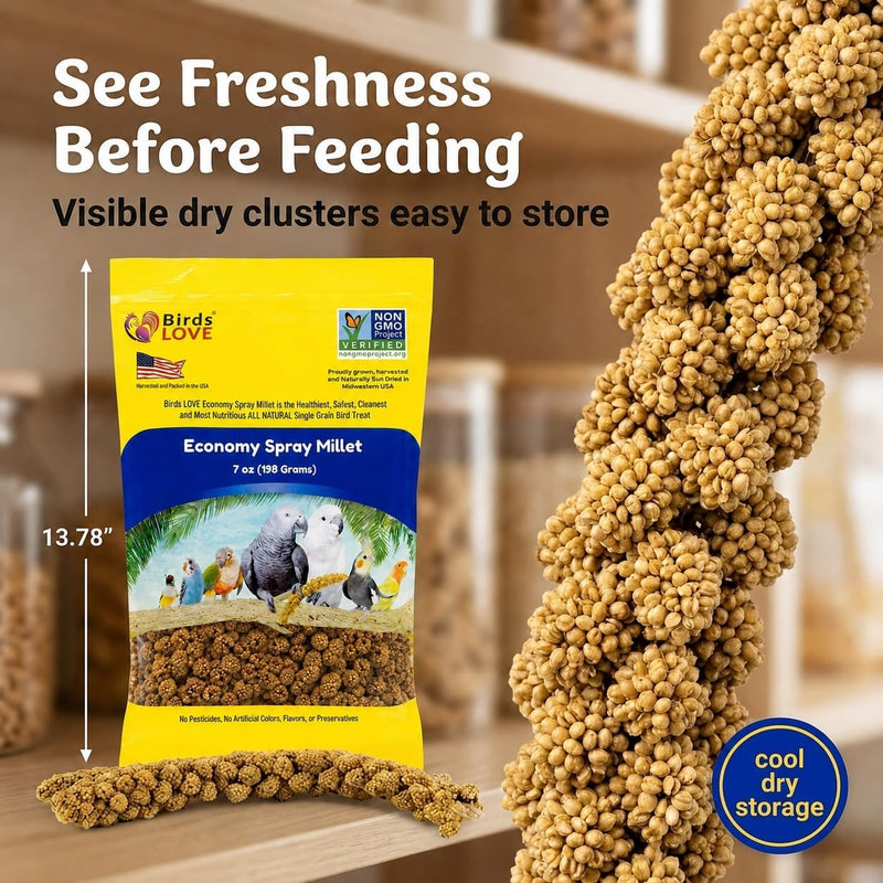 Birds LOVE Economy Spray Millet for Birds, 7 oz, GMO-Free Natural Millet Spray Treat, Stem-Reduced Edible Tops, Grown in USA, for Parakeets, Cockatiels, Lovebirds, Finches, Canaries & Small Parrots