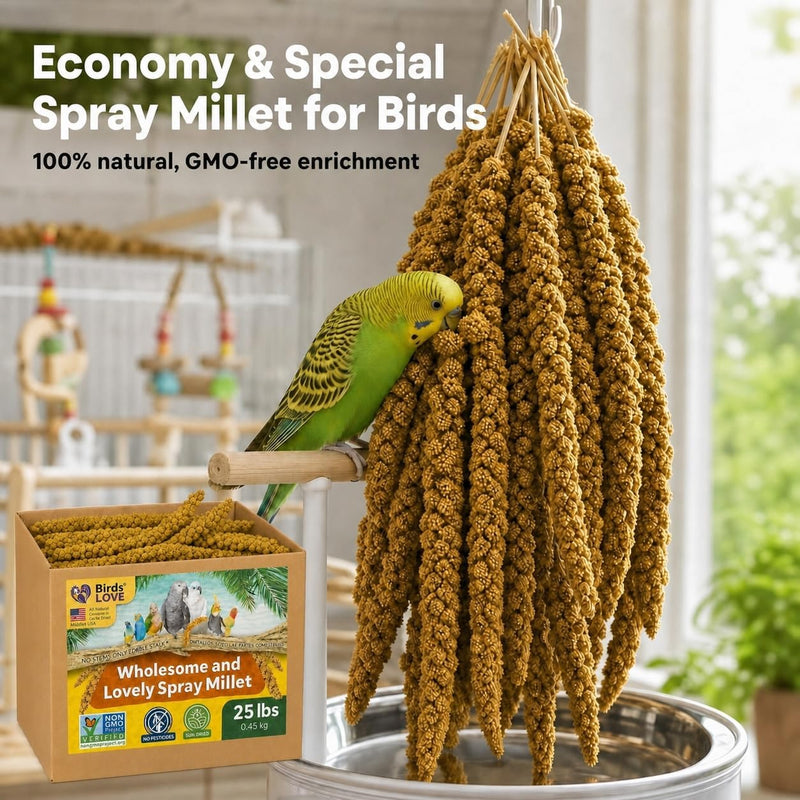 Birds LOVE 25 LB Wholesome Spray Millet for Birds - USA Grown, Non-GMO, Natural Sun-Dried Millet Sprays - Thick Seed-Rich Clusters for Parakeets, Budgies, Cockatiels, Conures, Finches & Parrots
