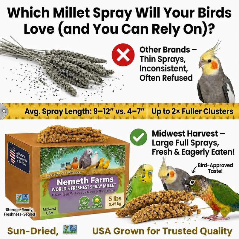 Nemeth Farms Spray Millet - Edible Tops Only, Non-GMO and Sun-Dried - 5 lbs for Parakeets, Conures and Cockatiels