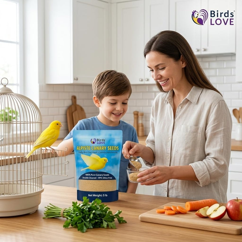 Birds LOVE Pure Alpiste Canary Seed Double Cleaned 5lb