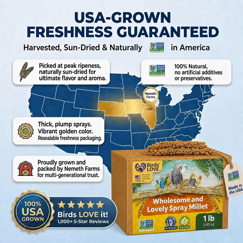 Birds LOVE 1 LB Wholesome Spray Millet for Birds - USA Grown, Non-GMO, Natural Sun-Dried Millet Sprays - Thick Seed-Rich Clusters for Parakeets, Budgies, Cockatiels, Conures, Finches & Parrots