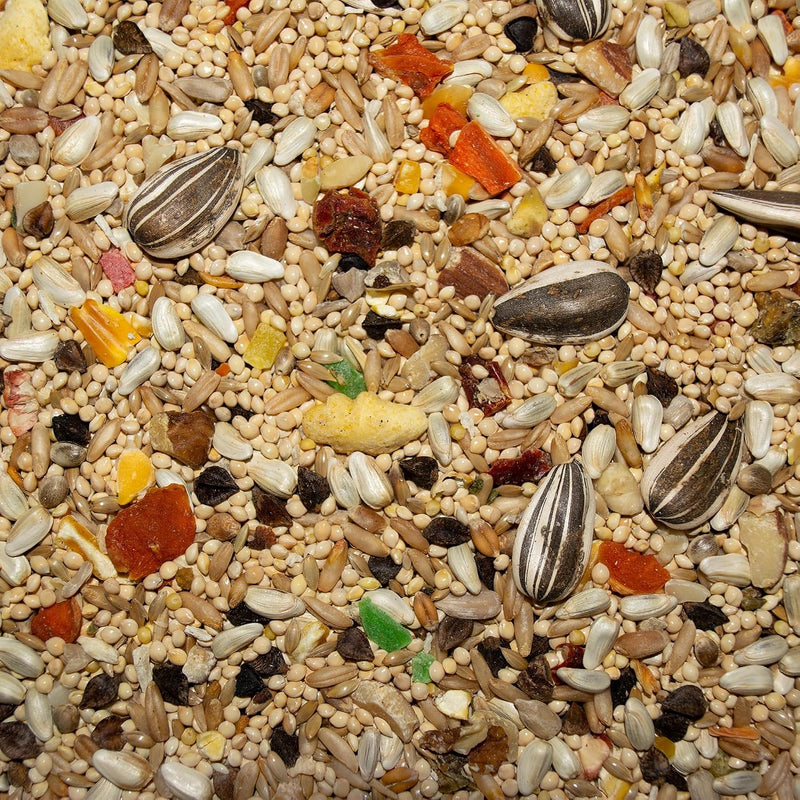 Volkman Avian Science Cockatiel No Sunflower Bird Food 4lb