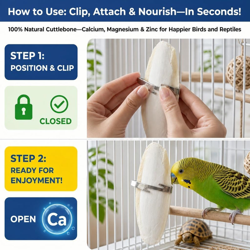 Birds LOVE Natural Cuttlebone - 6 Pack, 5.5-6"