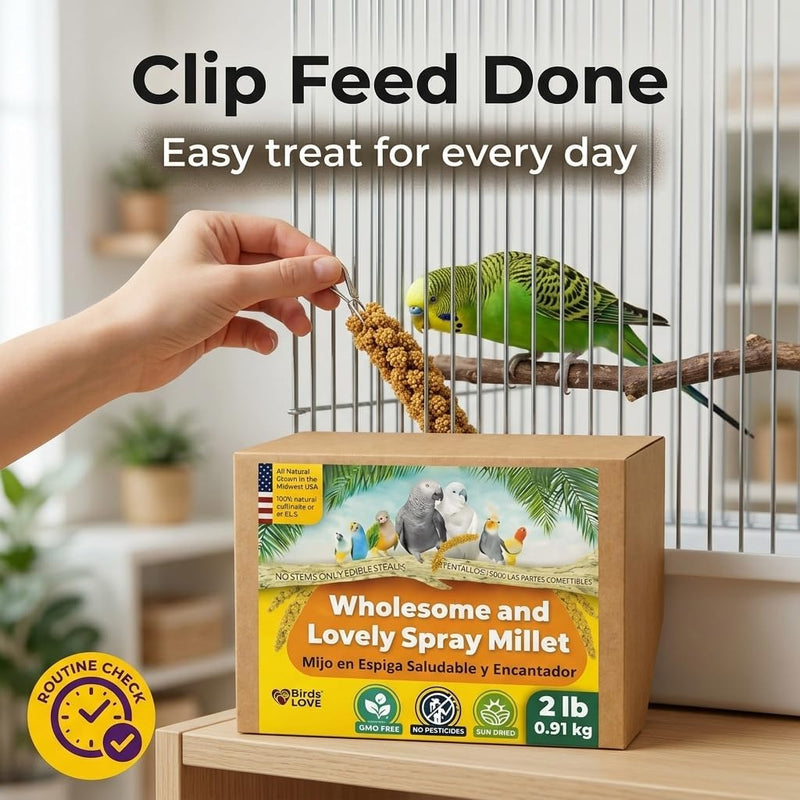 Birds LOVE 2 LB Wholesome Spray Millet for Birds - USA Grown, Non-GMO, Natural Sun-Dried Millet Sprays - Thick Seed-Rich Clusters for Parakeets, Budgies, Cockatiels, Conures, Finches & Parrots