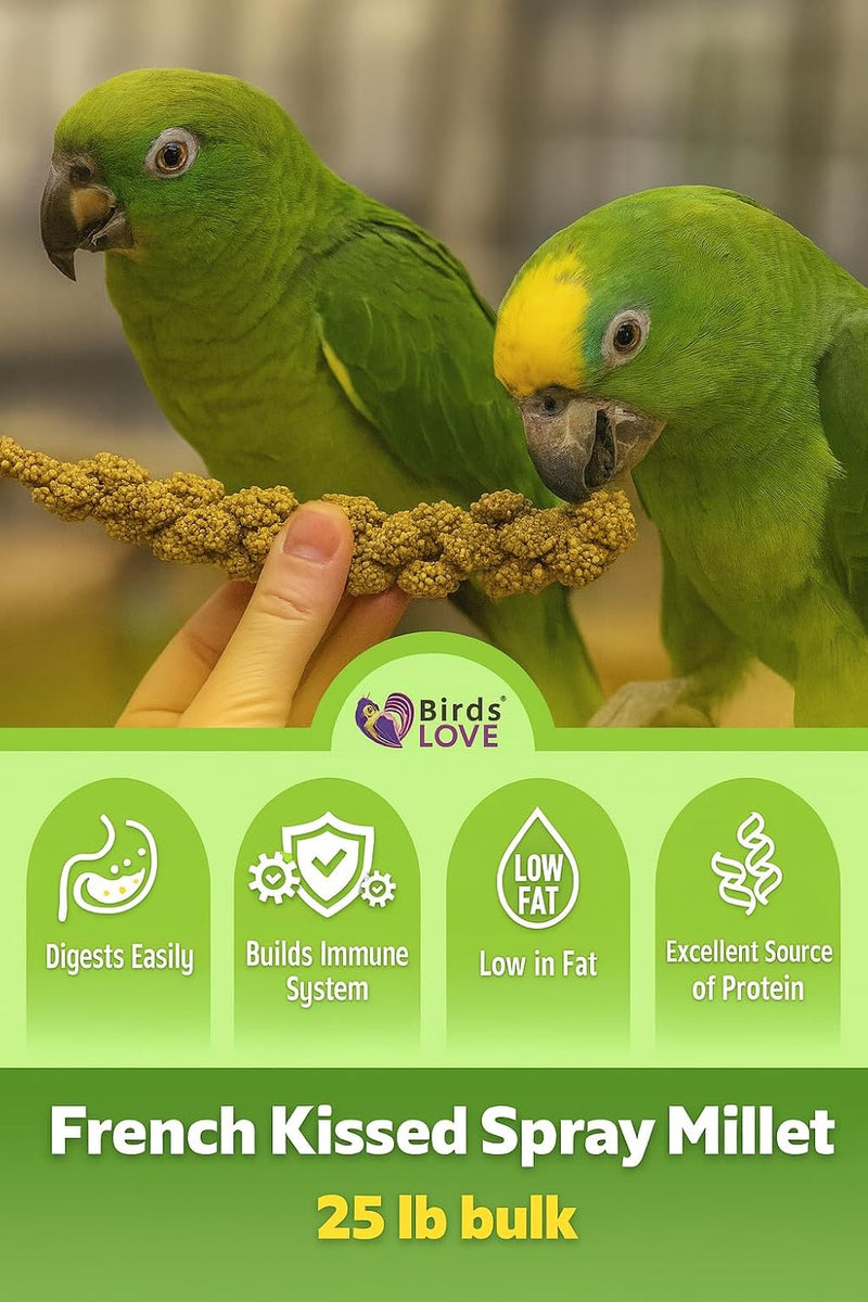 Birds LOVE 25lbs French Kissed Spray Millet for Birds - Non-GMO, Harvested & Packed in the USA - Natural Sun-Dried Millet with Stems for Parakeets, Cockatiels, Conures, Parrots & Budgies