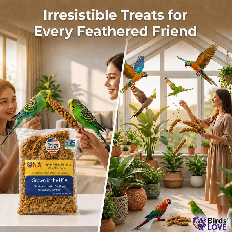 9 oz Economy Spray Millet - GMO-Free, No Stems, Natural Sun-Dried