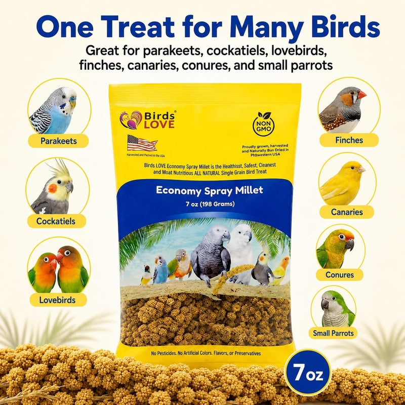 Birds LOVE Economy Spray Millet for Birds, 7 oz, GMO-Free Natural Millet Spray Treat, Stem-Reduced Edible Tops, Grown in USA, for Parakeets, Cockatiels, Lovebirds, Finches, Canaries - Pack of 2