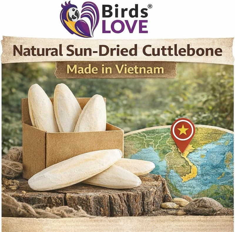 Farm to Feathers Bird Economy Millet & Cuttlebone Bundle - USA Grown Millet Sprays for Parakeets, Budgies, Cockatiels, Finches & Canaries - 9 oz (Pack of 1) + 4" Cuttlebone (4 Pack)