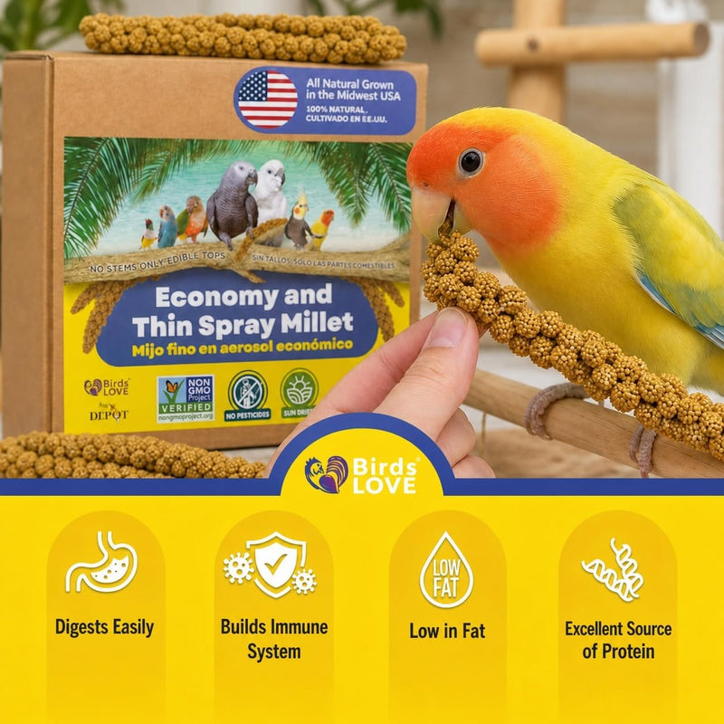 1lb Economy & Special Spray Millet for Birds - GMO-Free, No Stems (Only Edible Tops) - 100% Natural Sun-Dried Foraging Treat for Cockatiels, Lovebirds, Parakeets, Finches & Canaries