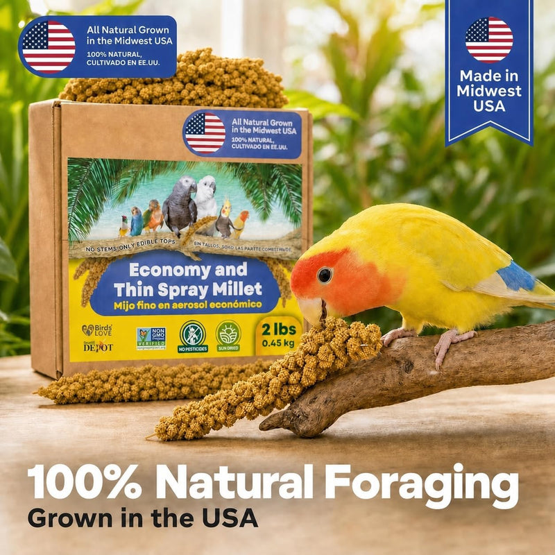 2lbs Economy & Special Spray Millet for Birds - GMO-Free, No Stems (Only Edible Tops) - 100% Natural Sun-Dried Foraging Treat for Cockatiels, Lovebirds, Parakeets, Finches & Canaries