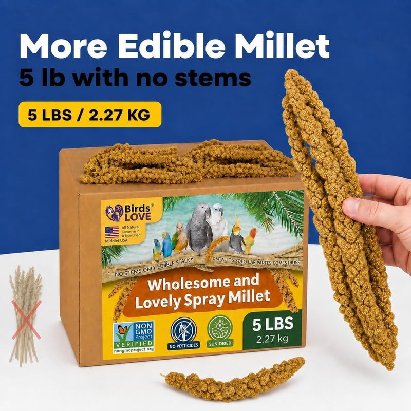 Birds LOVE 5 LB Wholesome Spray Millet for Birds - USA Grown, Non-GMO, Natural Sun-Dried Millet Sprays - Thick Seed-Rich Clusters for Parakeets, Budgies, Cockatiels, Conures, Finches & Parrots