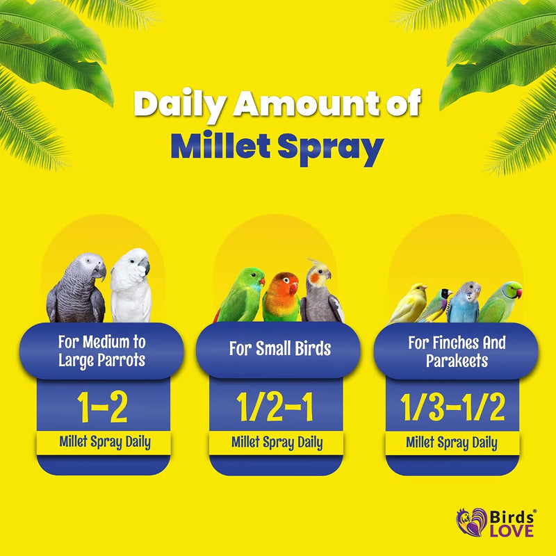 5lbs Economy & Special Spray Millet for Birds - GMO-Free, No Stems (Only Edible Tops) - 100% Natural Sun-Dried Foraging Treat for Cockatiels, Lovebirds, Parakeets, Finches & Canaries