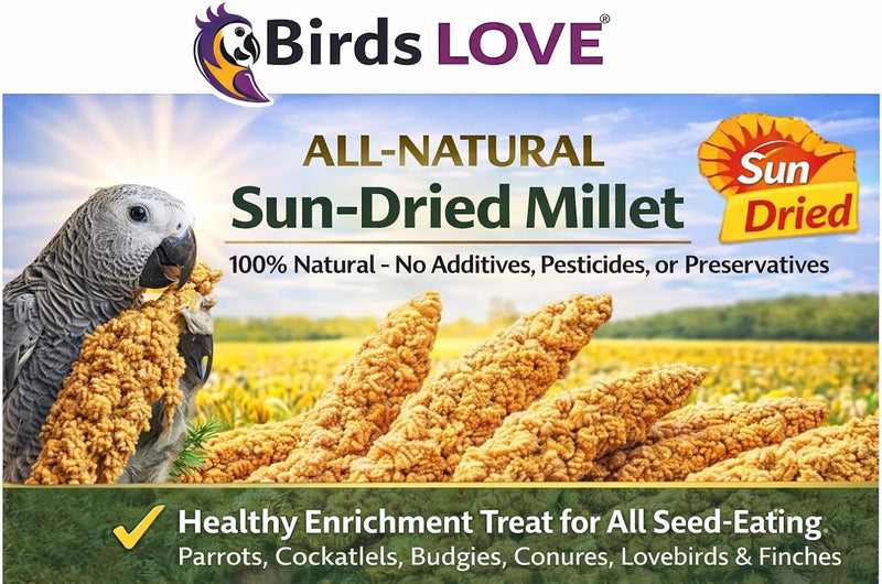 Birds LOVE 1 LB Wholesome Spray Millet for Birds - USA Grown, Non-GMO, Natural Sun-Dried Millet Sprays - Thick Seed-Rich Clusters for Parakeets, Budgies, Cockatiels, Conures, Finches & Parrots