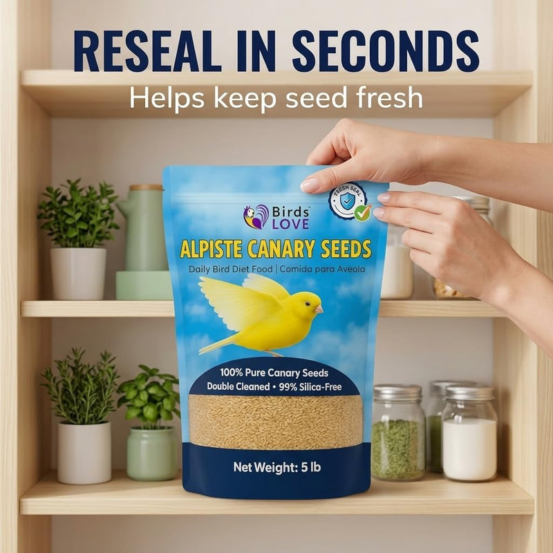 Birds LOVE Pure Alpiste Canary Seed Double Cleaned 5lb
