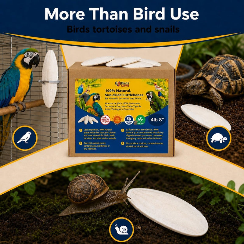 Birds LOVE Natural Cuttlebone - 4 lb bulk, 7.5-8"