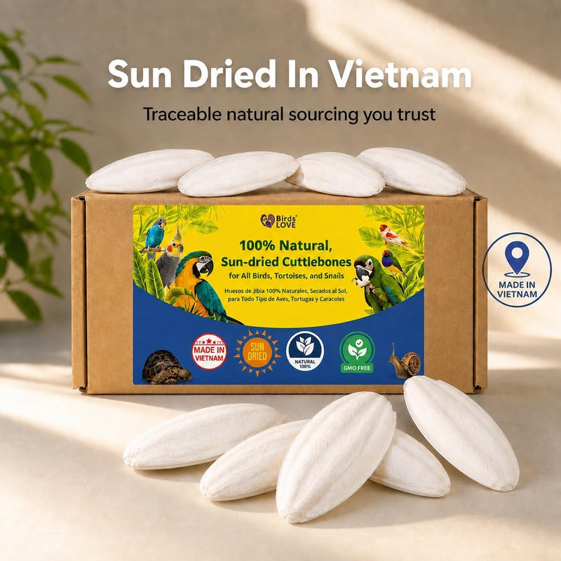 Birds LOVE Natural Cuttlebone - 1 Pack, 7.5-8"