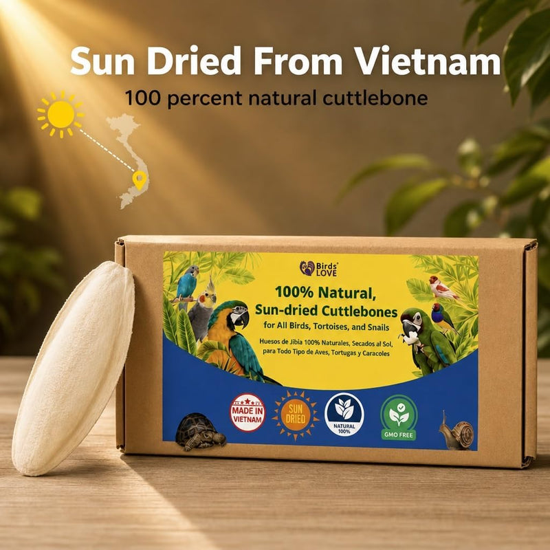 Birds LOVE Natural Cuttlebone - 6 Pack, 5.5-6"