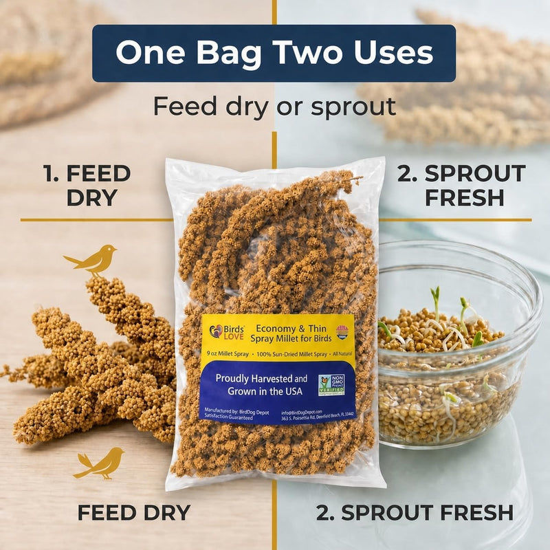 9 oz Economy Spray Millet - GMO-Free, No Stems, Natural Sun-Dried