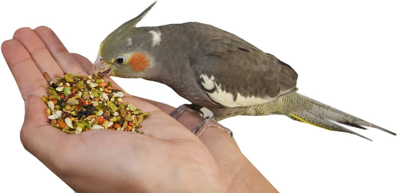 Birds LOVE Natural Garden Blend for Medium Birds 2lbs