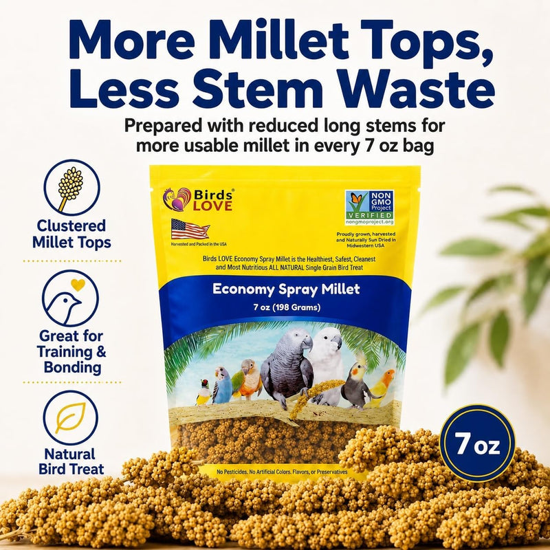 Birds LOVE Economy Spray Millet for Birds, 7 oz, GMO-Free Natural Millet Spray Treat, Stem-Reduced Edible Tops, Grown in USA, for Parakeets, Cockatiels, Lovebirds, Finches, Canaries & Small Parrots