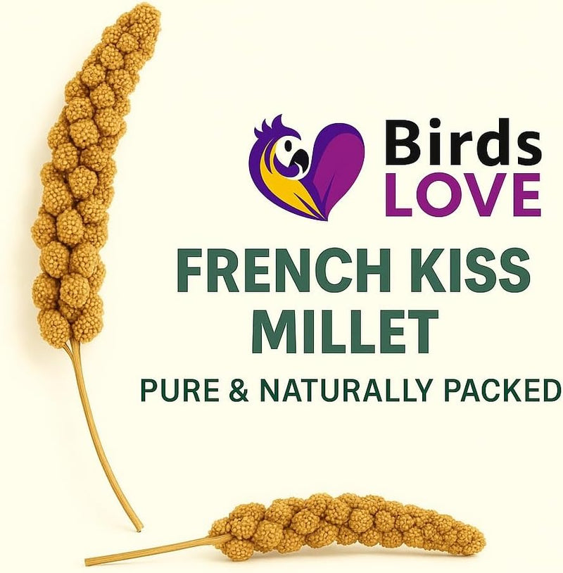 Birds LOVE 25lbs French Kissed Spray Millet for Birds - Non-GMO, Harvested & Packed in the USA - Natural Sun-Dried Millet with Stems for Parakeets, Cockatiels, Conures, Parrots & Budgies
