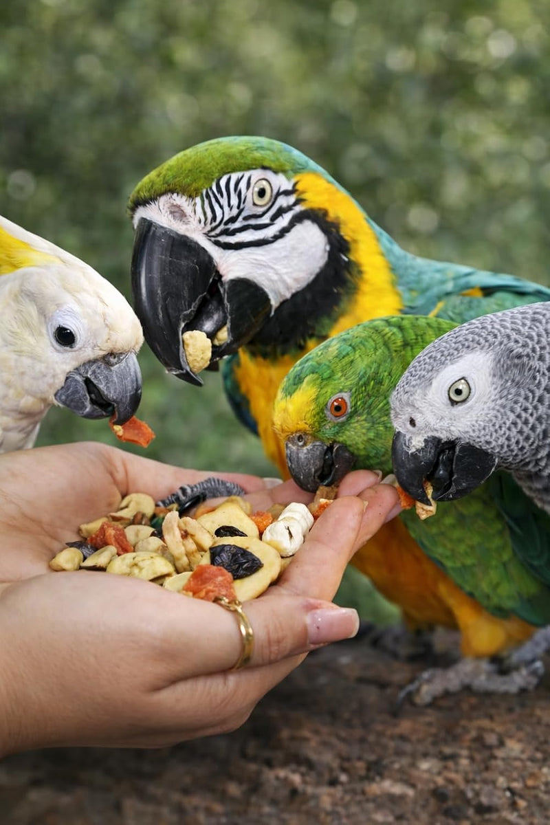Birds LOVE Natural Garden Blend for Large Birds 2lbs