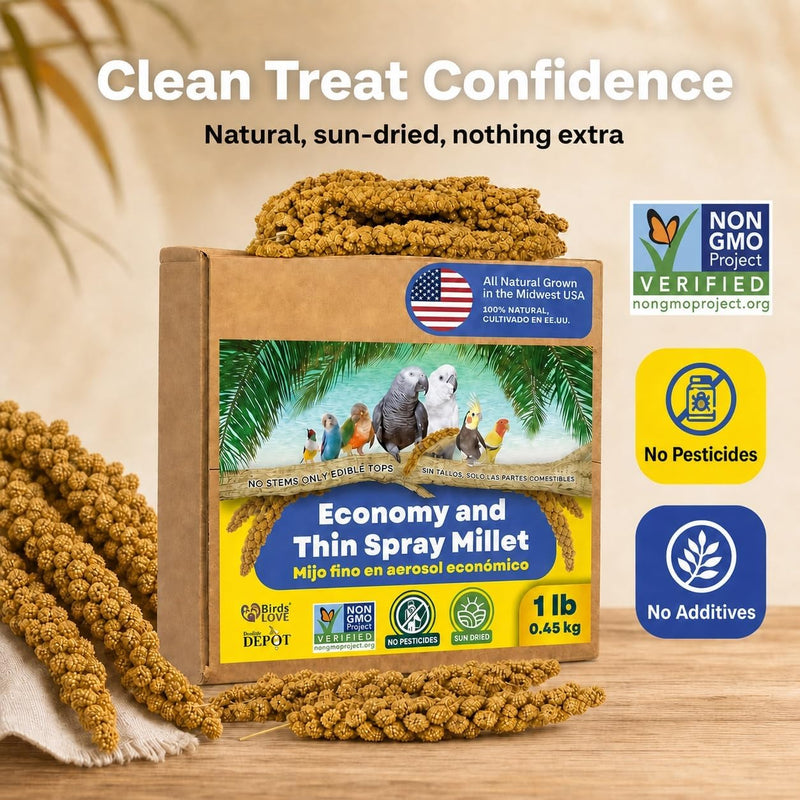 1lb Economy & Special Spray Millet for Birds - GMO-Free, No Stems (Only Edible Tops) - 100% Natural Sun-Dried Foraging Treat for Cockatiels, Lovebirds, Parakeets, Finches & Canaries