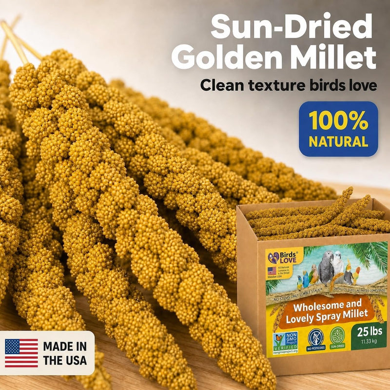 Birds LOVE 25 LB Wholesome Spray Millet for Birds - USA Grown, Non-GMO, Natural Sun-Dried Millet Sprays - Thick Seed-Rich Clusters for Parakeets, Budgies, Cockatiels, Conures, Finches & Parrots