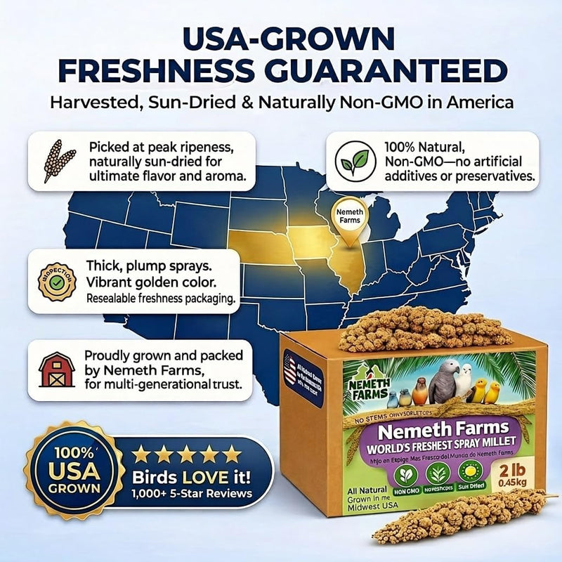 Nemeth Farms Spray Millet - Edible Tops Only, Non-GMO and Sun-Dried - 2 lbs for Cockatiels, Lovebirds and Budgies