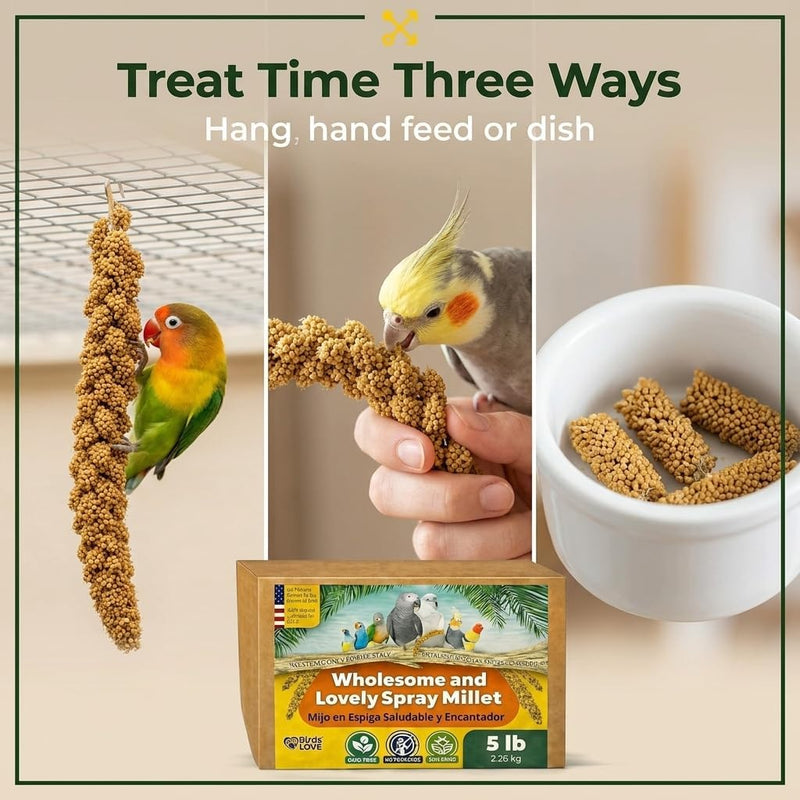 Birds LOVE 5 LB Wholesome Spray Millet for Birds - USA Grown, Non-GMO, Natural Sun-Dried Millet Sprays - Thick Seed-Rich Clusters for Parakeets, Budgies, Cockatiels, Conures, Finches & Parrots