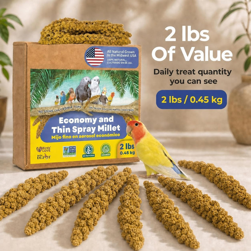 2lbs Economy & Special Spray Millet for Birds - GMO-Free, No Stems (Only Edible Tops) - 100% Natural Sun-Dried Foraging Treat for Cockatiels, Lovebirds, Parakeets, Finches & Canaries