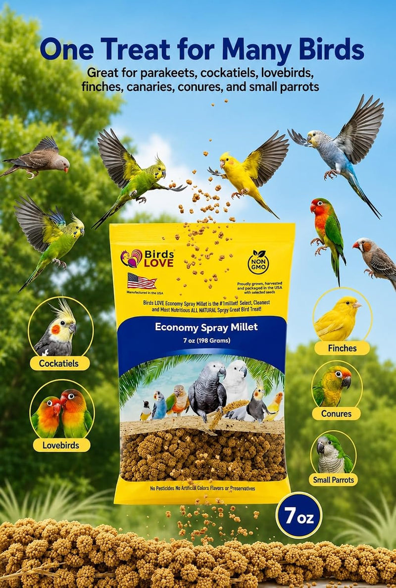 Birds LOVE Economy Spray Millet for Birds, 7 oz, GMO-Free Natural Bird Treat, Stem-Reduced Millet Tops, USA Grown Spray Millet for Parakeets, Cockatiels, Lovebirds, Finches, Canaries - Pack of 4