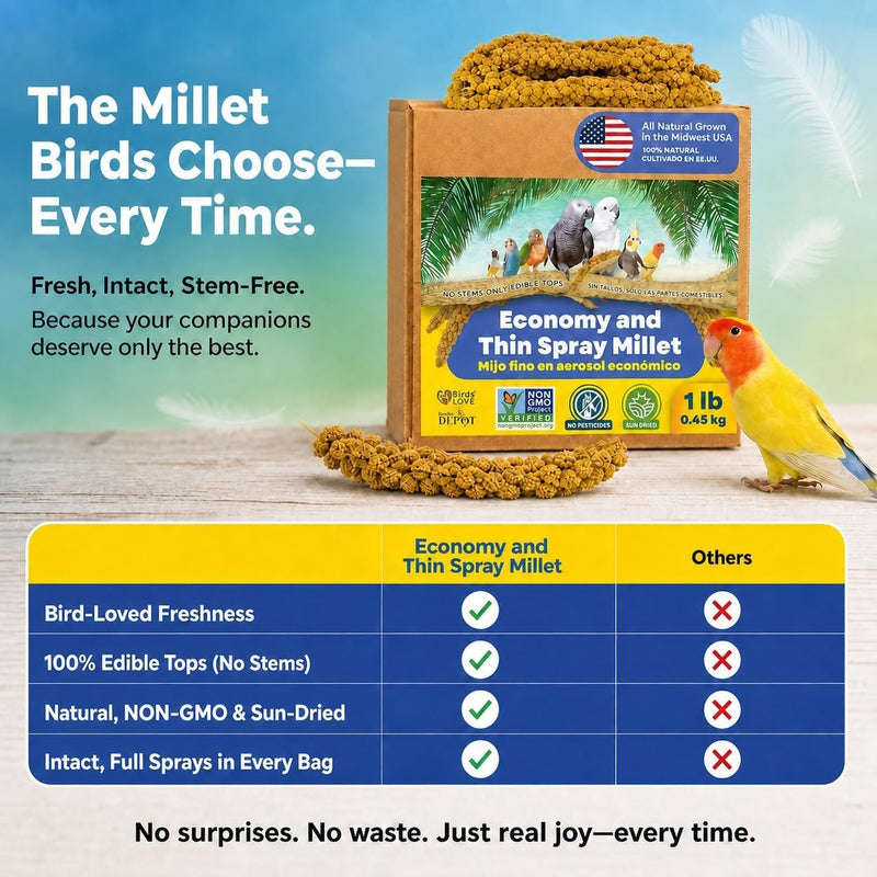 1lb Economy & Special Spray Millet for Birds - GMO-Free, No Stems (Only Edible Tops) - 100% Natural Sun-Dried Foraging Treat for Cockatiels, Lovebirds, Parakeets, Finches & Canaries