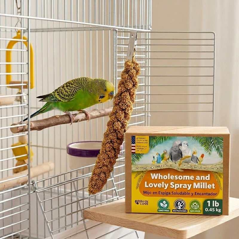 Birds LOVE 1 LB Wholesome Spray Millet for Birds - USA Grown, Non-GMO, Natural Sun-Dried Millet Sprays - Thick Seed-Rich Clusters for Parakeets, Budgies, Cockatiels, Conures, Finches & Parrots