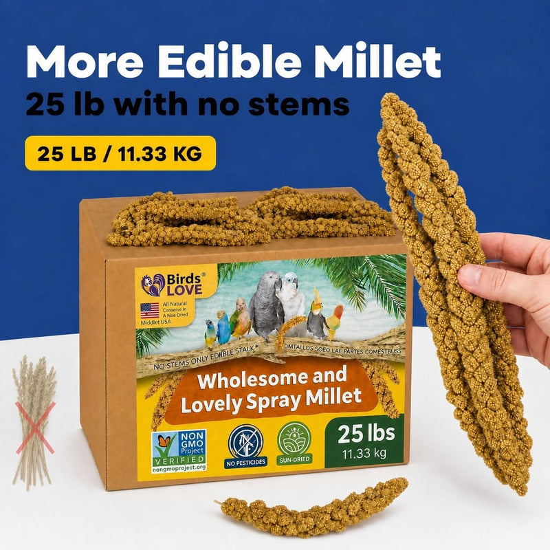 Birds LOVE 25 LB Wholesome Spray Millet for Birds - USA Grown, Non-GMO, Natural Sun-Dried Millet Sprays - Thick Seed-Rich Clusters for Parakeets, Budgies, Cockatiels, Conures, Finches & Parrots