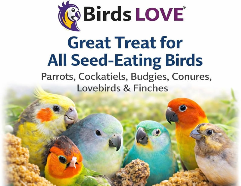 Birds LOVE 5 LB Wholesome Spray Millet for Birds - USA Grown, Non-GMO, Natural Sun-Dried Millet Sprays - Thick Seed-Rich Clusters for Parakeets, Budgies, Cockatiels, Conures, Finches & Parrots